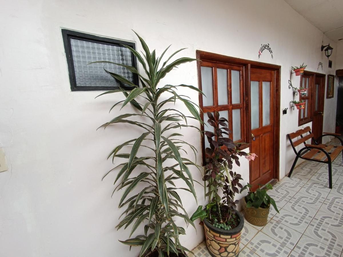 Casa Petirrojo - Habitaciones En Pátzcuaro Exteriér fotografie